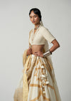 Amara Jahanara Lehenga Set