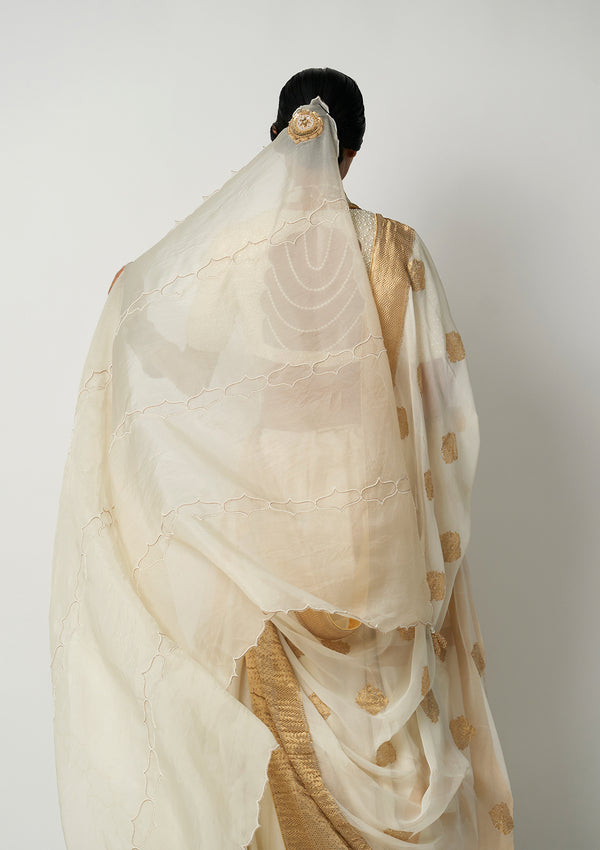 Amara Jahanara Lehenga Set