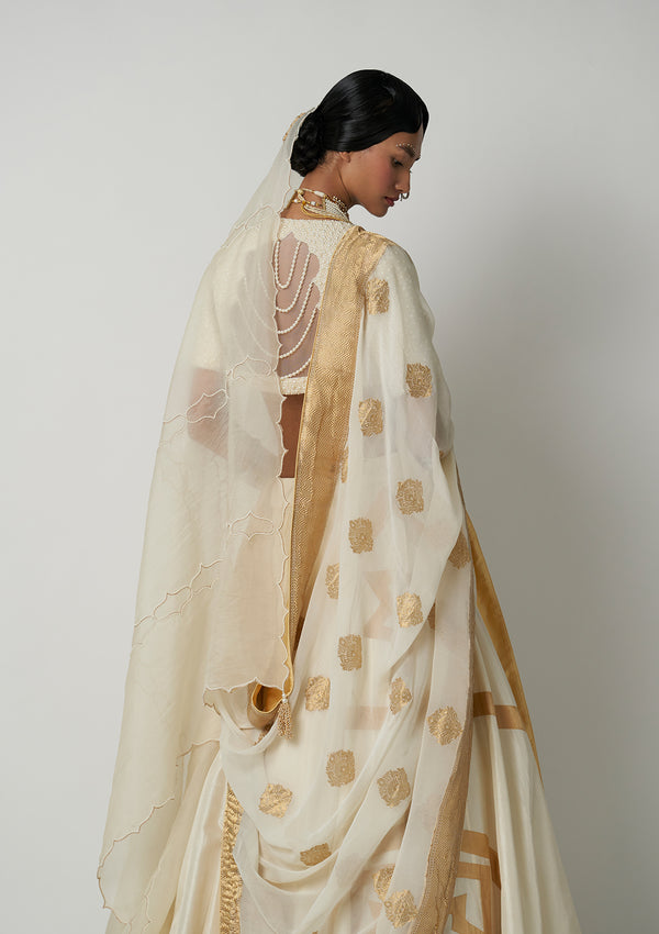 Amara Jahanara Lehenga Set