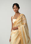 Moti Mehrabiya Appliqué Silk Saree