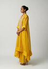 Amber Gul-e-Mehrab Organza Kurta Set