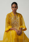 Amber Gul-e-Mehrab Organza Kurta Set
