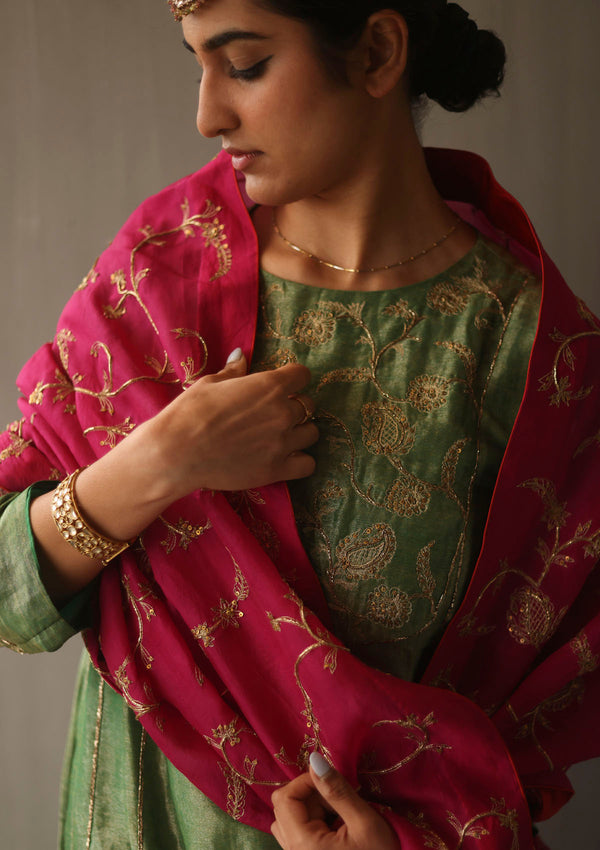 Rani Mir Odhni