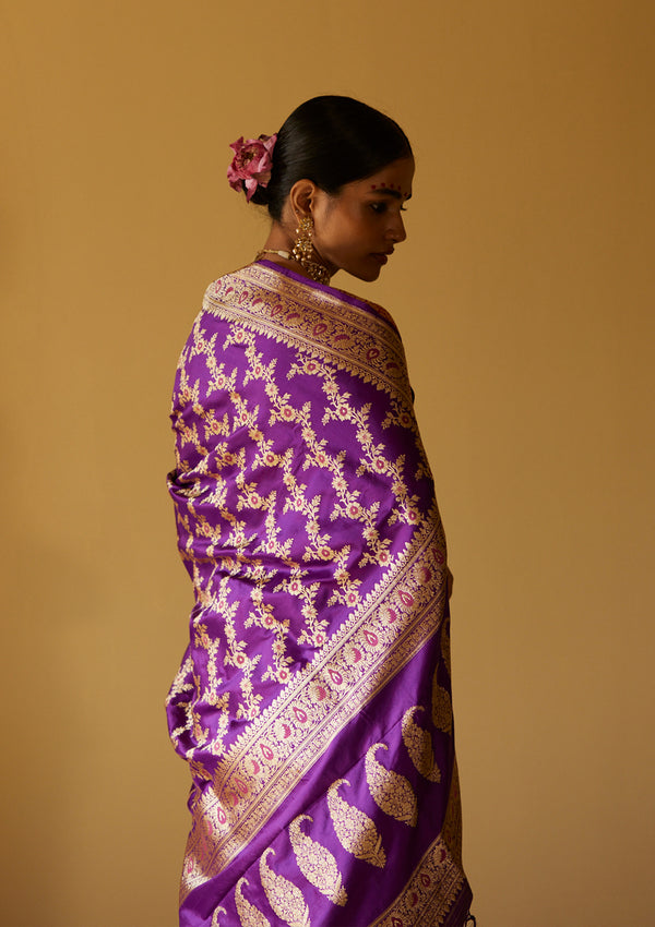 Jamuni Sahar