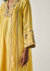 Khayaal Nargis Silk Tissue Kurta