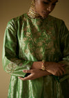 Panna Falaknuma Tissue Kurta