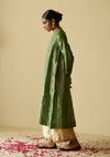 Panna Falaknuma Tissue Kurta