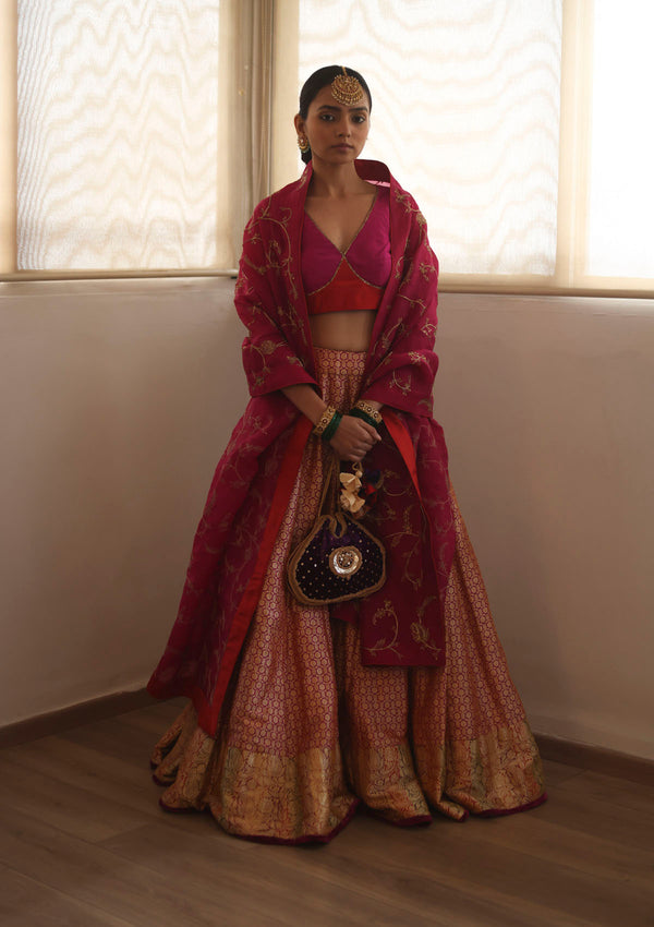 Rani Golconda Lehenga Set