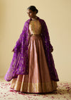 Rani Golconda Lehenga