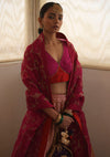 Rani Golconda Lehenga Set