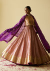 Rani Golconda Lehenga