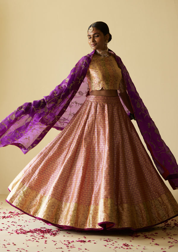 Rani Golconda Lehenga