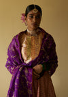 Rani Golconda Lehenga