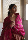 Rani Golconda Lehenga Set