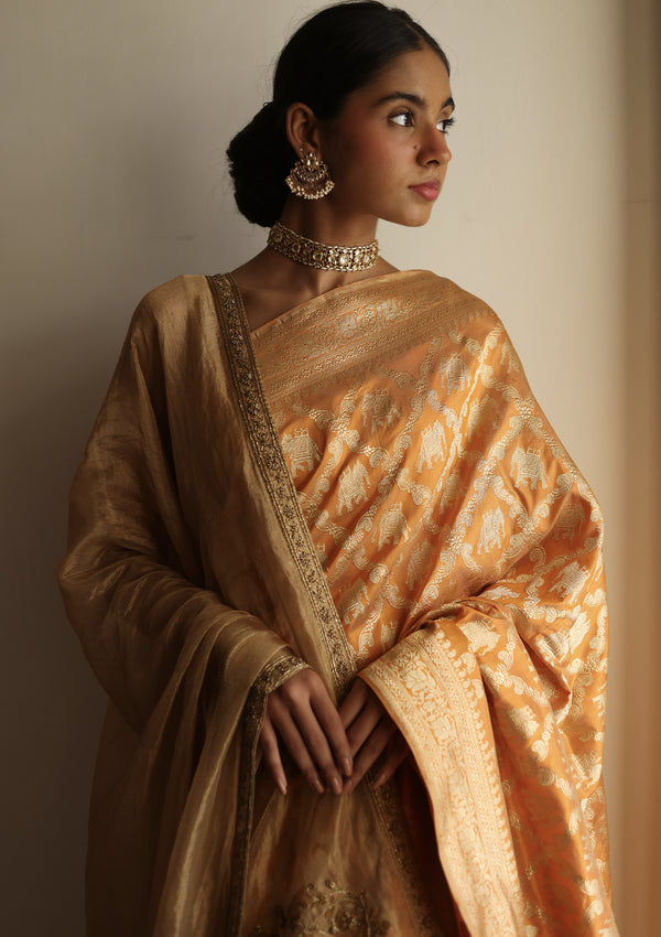 Medhavi