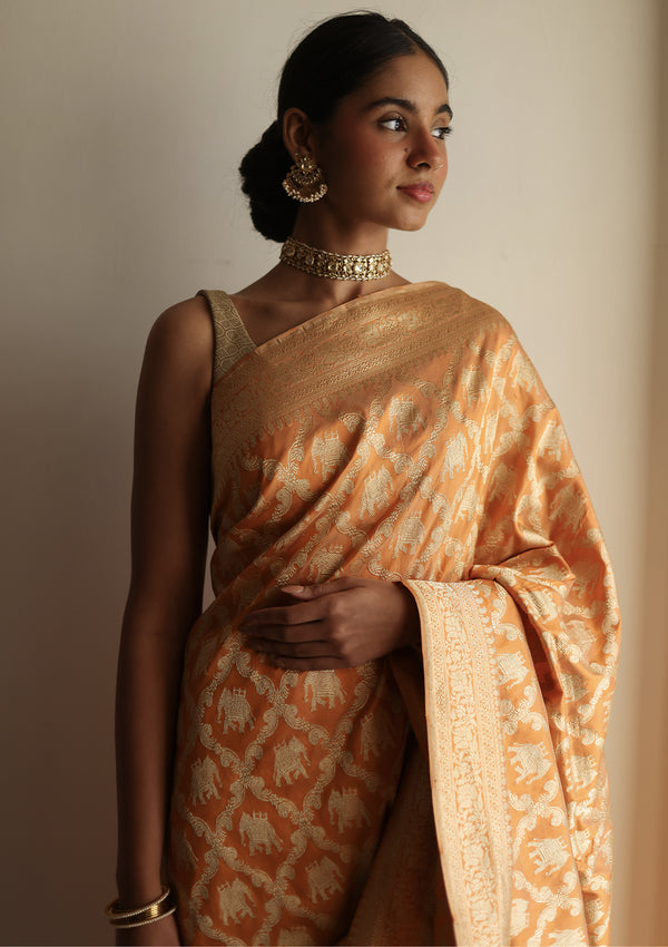 Medhavi