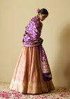 Sindoori Golconda Lehenga