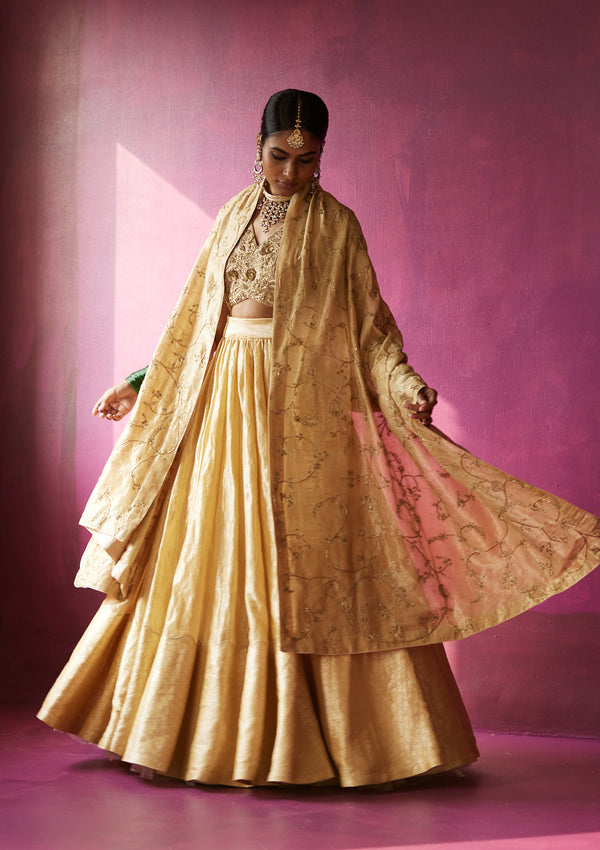 Sunheri Nizami Lehenga Set