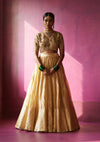 Sunheri Nizami Lehenga Set