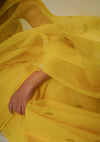 Basant Kota Saree