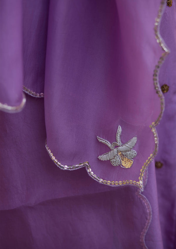 Jamuni Humsafar Odhni