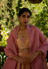 Pachranga Humsaaya Lehenga