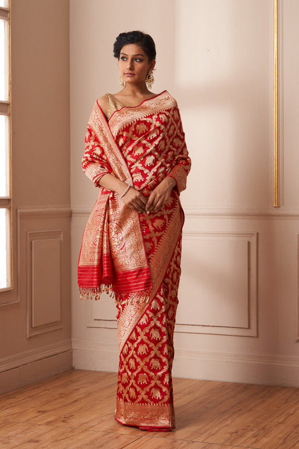 Medhavi