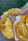 Basant Bahaar