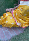 Basant Bahaar