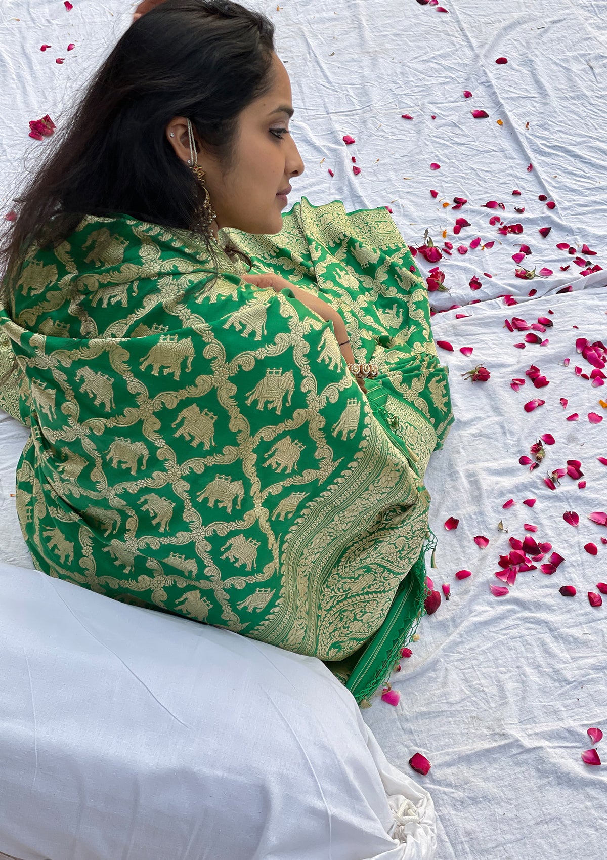 Panna Medhavi