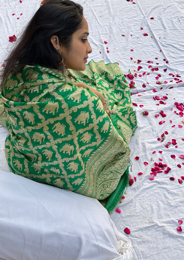 Panna Medhavi