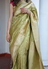 Tulsi Pankhuri