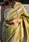 Tulsi Pankhuri