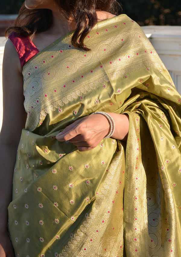 Tulsi Pankhuri