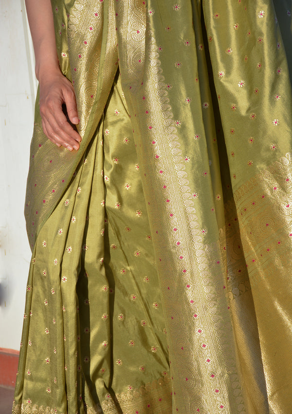 Tulsi Pankhuri