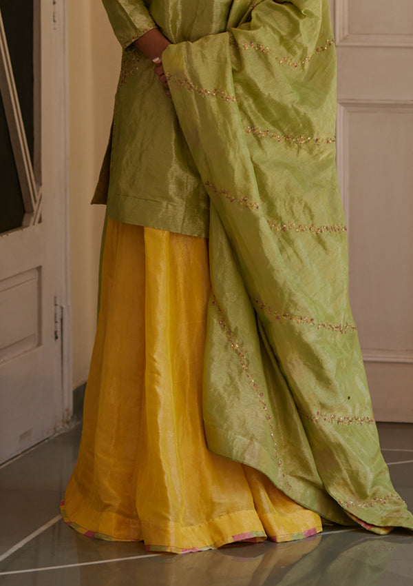 Nargis Panelled Tissue Skirt