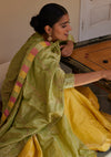 Nargis Panelled Tissue Skirt