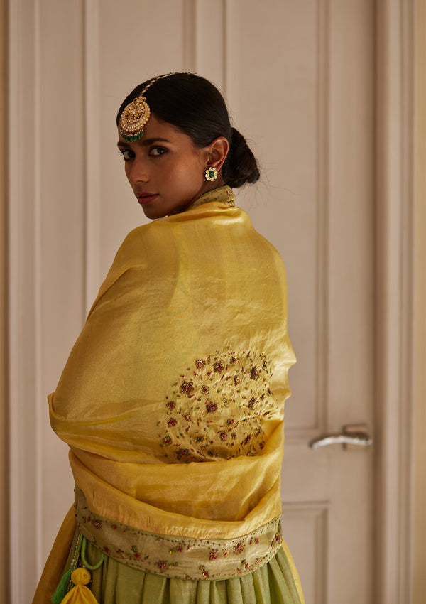 Nargis Tissue Odhni