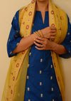 Neelambari Panel Kurta