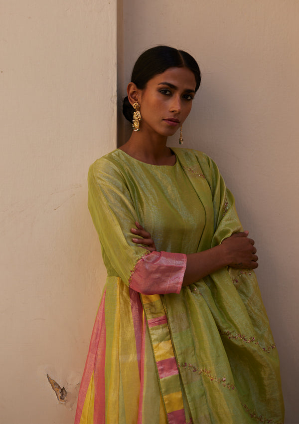 Pista Mithai Tissue Anarkali
