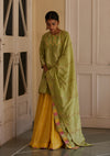 Pista Tissue Kurta