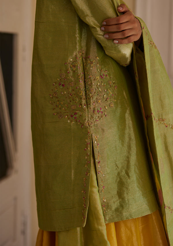Pista Tissue Kurta