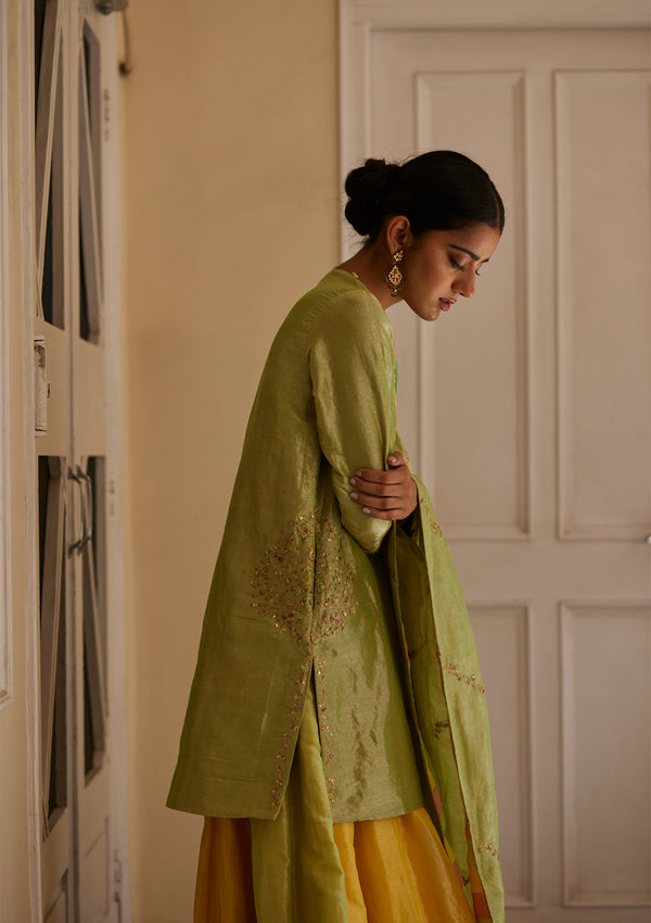 Pista Tissue Kurta
