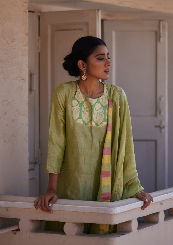 Pista Tissue Kurta