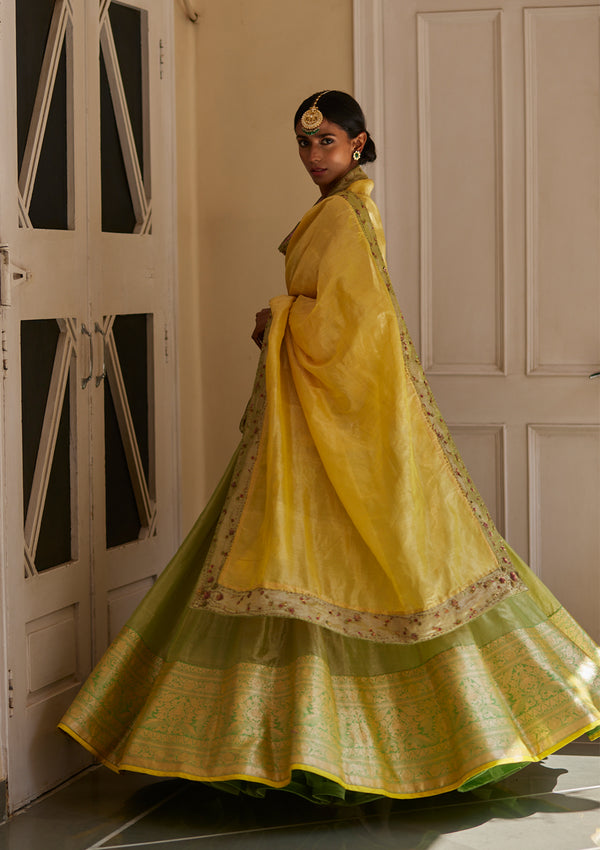 Pista Tissue Lehenga