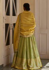 Pista Tissue Lehenga