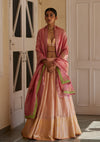 Saundh Tissue Lehenga