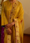 Basant Jamuni Kurta