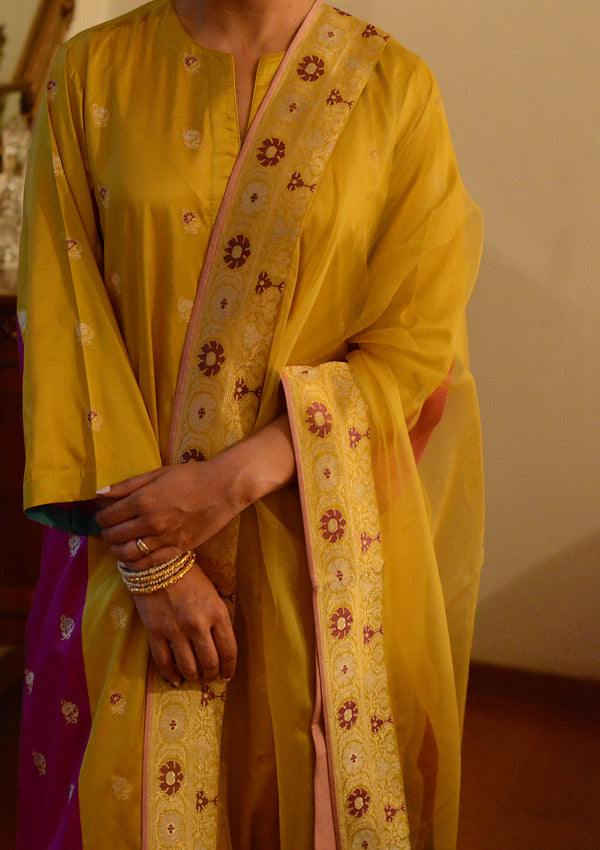 Basant Jamuni Kurta