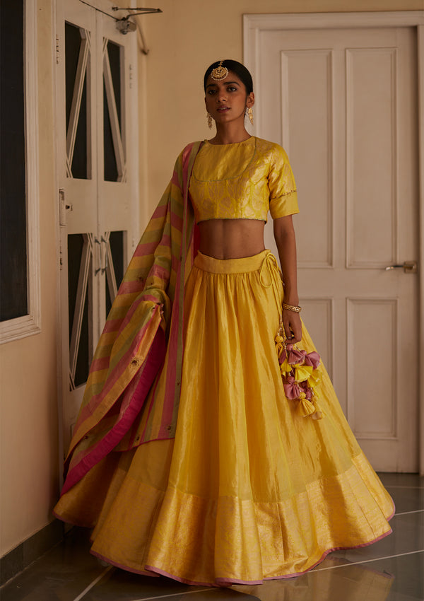 Nargis Tissue Lehenga